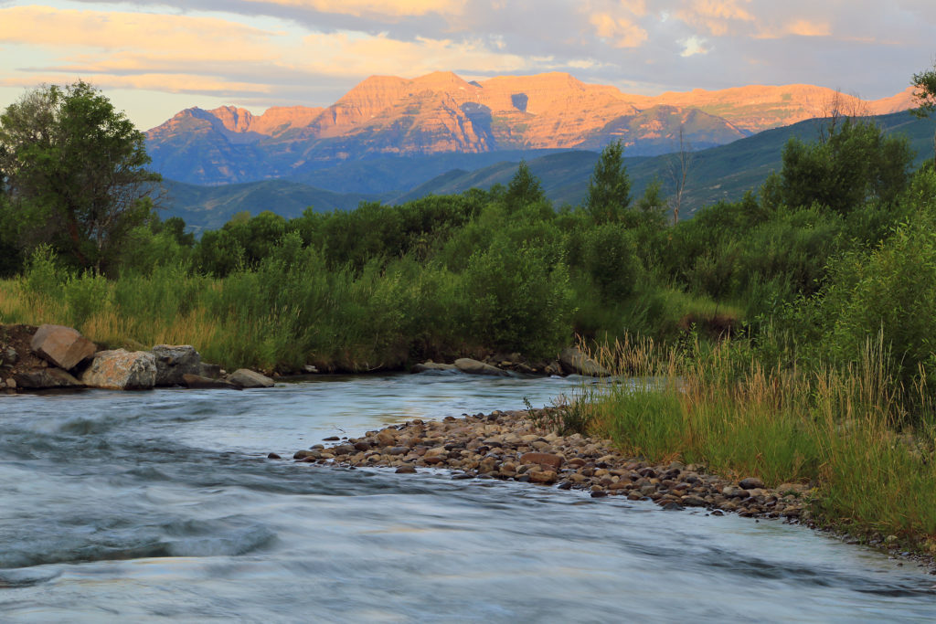 Provo Ricer Provo River | Fish Heads