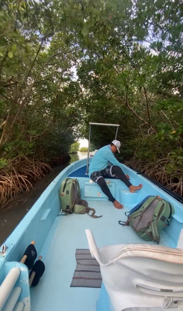 MAYAZUL 2