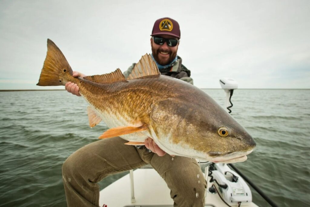 REDFISH 3